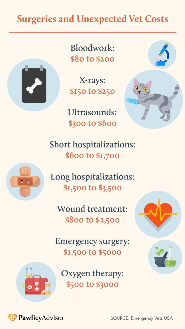 Unexpected Vet Costs