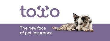 toto pet insurance
