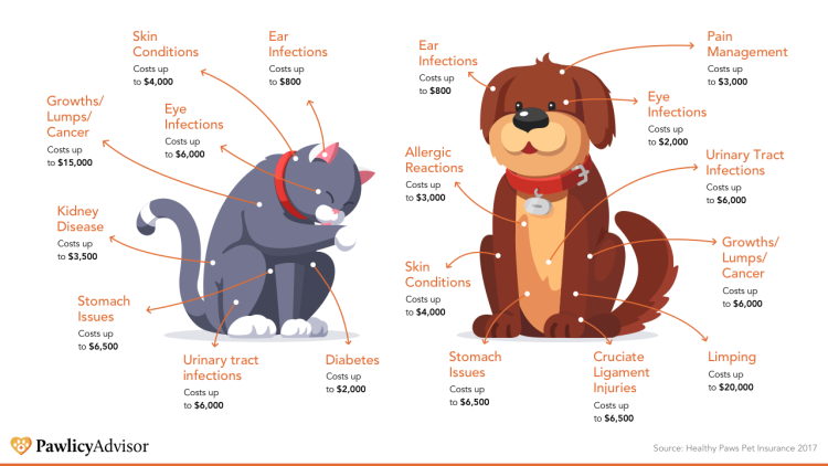 dog-and-cat-common-costs-for-treatment
