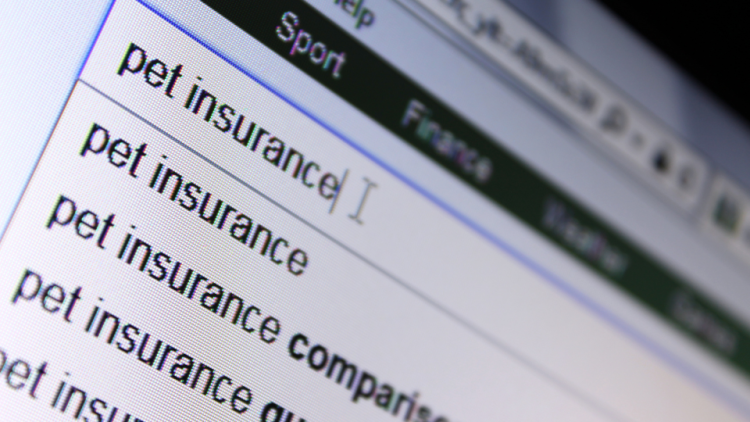 pet insurance online search